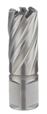 Сверло корончатое (фреза кольцевая) ф22х30 HSS Weldon19