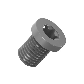 Винт крепления опорной пластины M6*9P